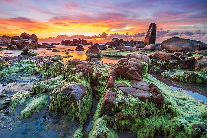 Ghé thăm vẻ đẹp biển cổ thạch ninh thuận