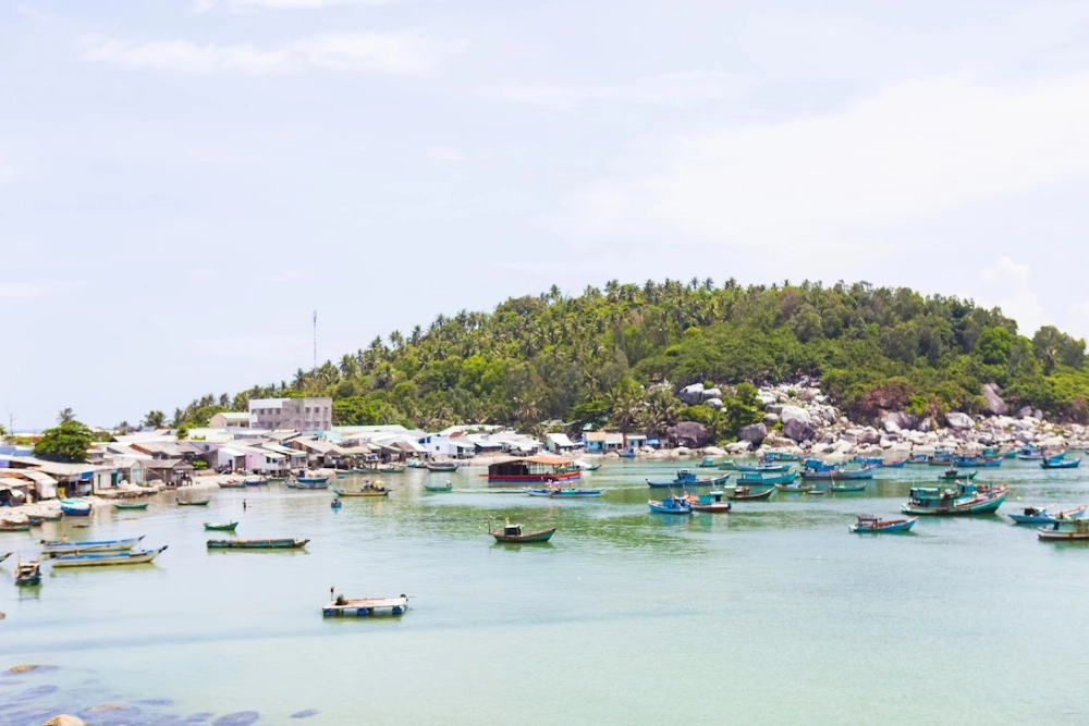 Giải đáp đảo hòn sơn ở tỉnh nào đầy đủ thông tin