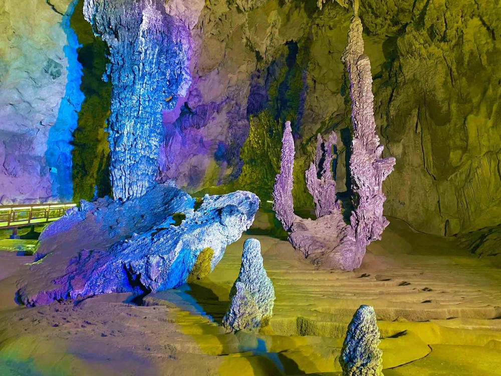 Giới thiệu về động ngườm ngao sẽ khiến bạn ngỡ ngàng trước vẻ đẹp