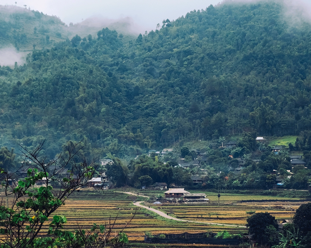 Hành trình lùng cúng trekking đầy thử thách