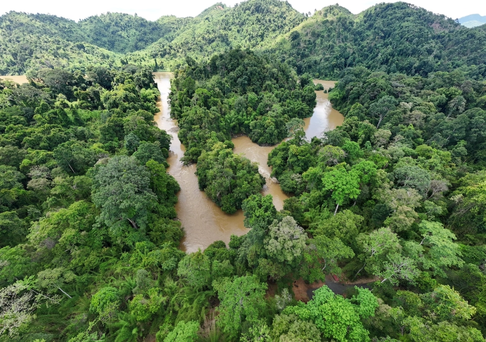 Hành trình lý tưởng cùng tour vườn quốc gia cát tiên đầy thú vị