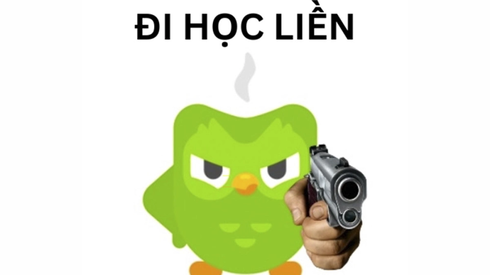 Harry Potter Duolingo meme khi cú xanh “Avada Kedavra” bạn nếu bạn quên học