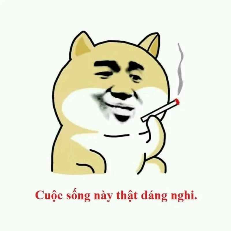 Hình ảnh con chó cười đểu là hình ảnh hoàn hảo để nhấn mạnh sự hài hước