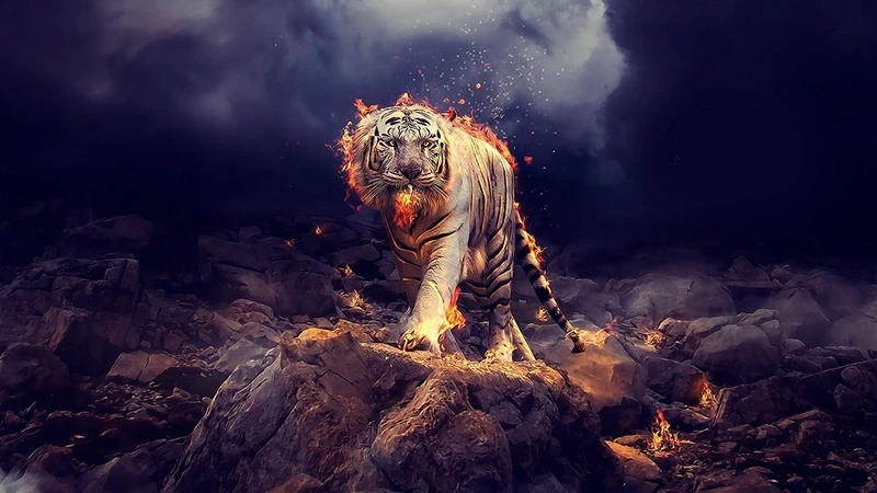 Hình ảnh động đáng yêu phù hợp làm avatar