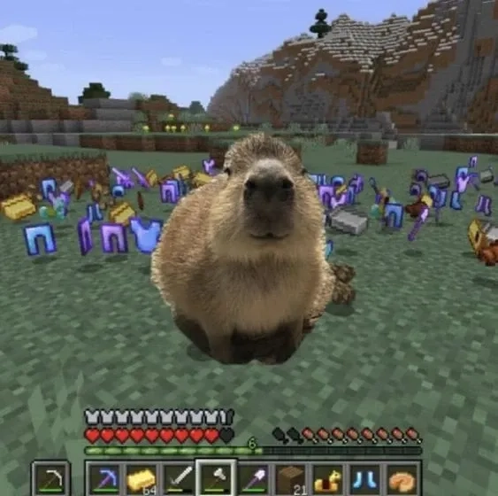 Hình meme capybara dễ thương và cực kỳ vui nhộn