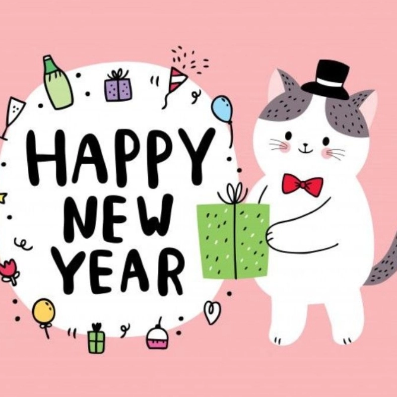 Hình mèo meme Tết cute siêu cấp, chào xuân với thần thái “meo meo”