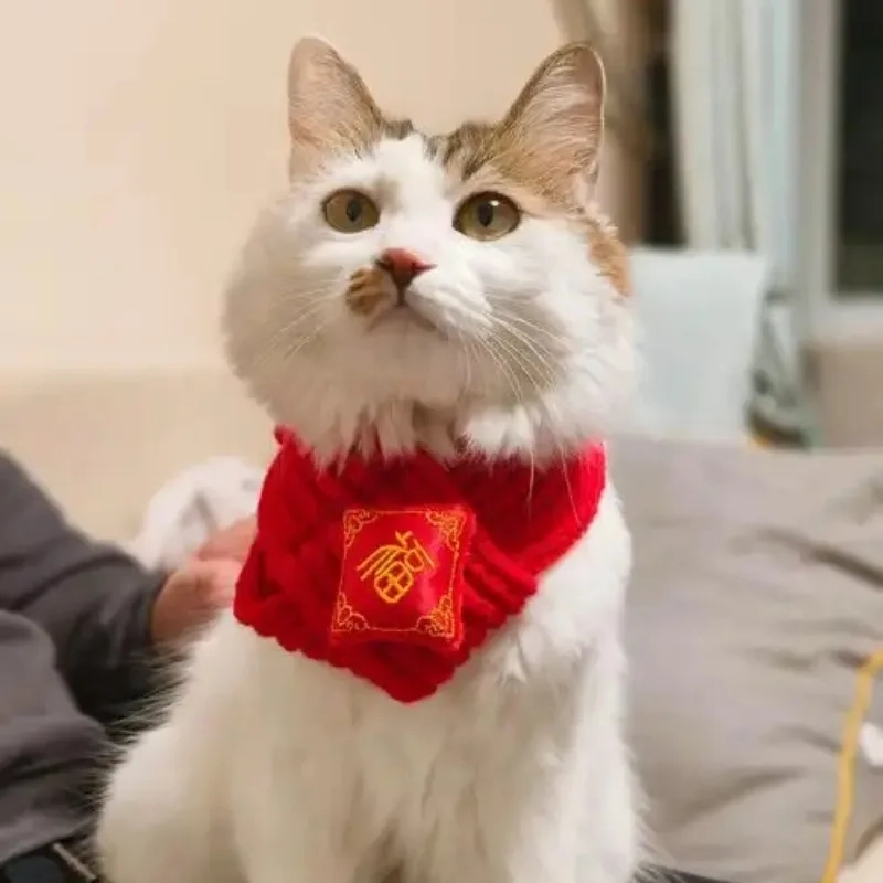 Hình nền mèo meme Tết giúp điện thoại và máy tính thêm không khí xuân