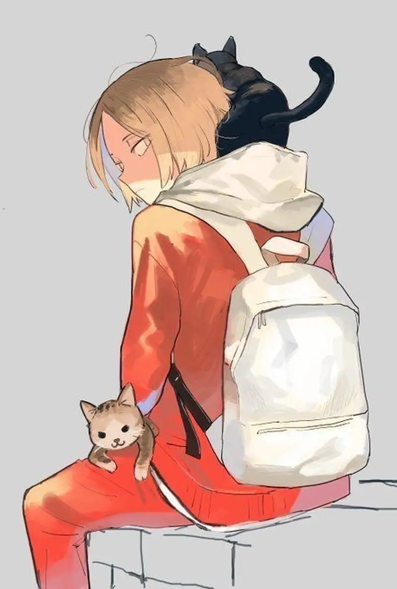 Kenma cat trong những khoảnh khắc cực kỳ đáng yêu đừng bỏ qua