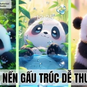 Khám phá bộ sưu tập hình nền gấu chibi cute và những điều thú vị