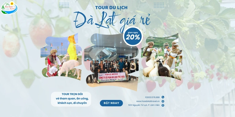 Khám Phá Đà Lạt: Top Những Điểm Du Lịch Hấp Dẫn Nhất Năm 2026