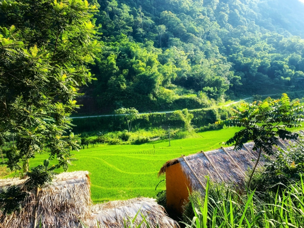 Khám phá đặc sản pù luông đậm đà hương vị