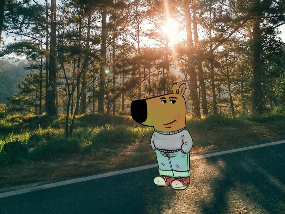 Khám phá image of chill guy mới nhất đang hot