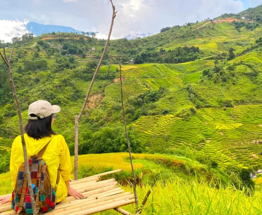 Khám phá núi ngọc linh cao nhất tây nguyên thuộc tỉnh nào và các điểm đến xung quanh