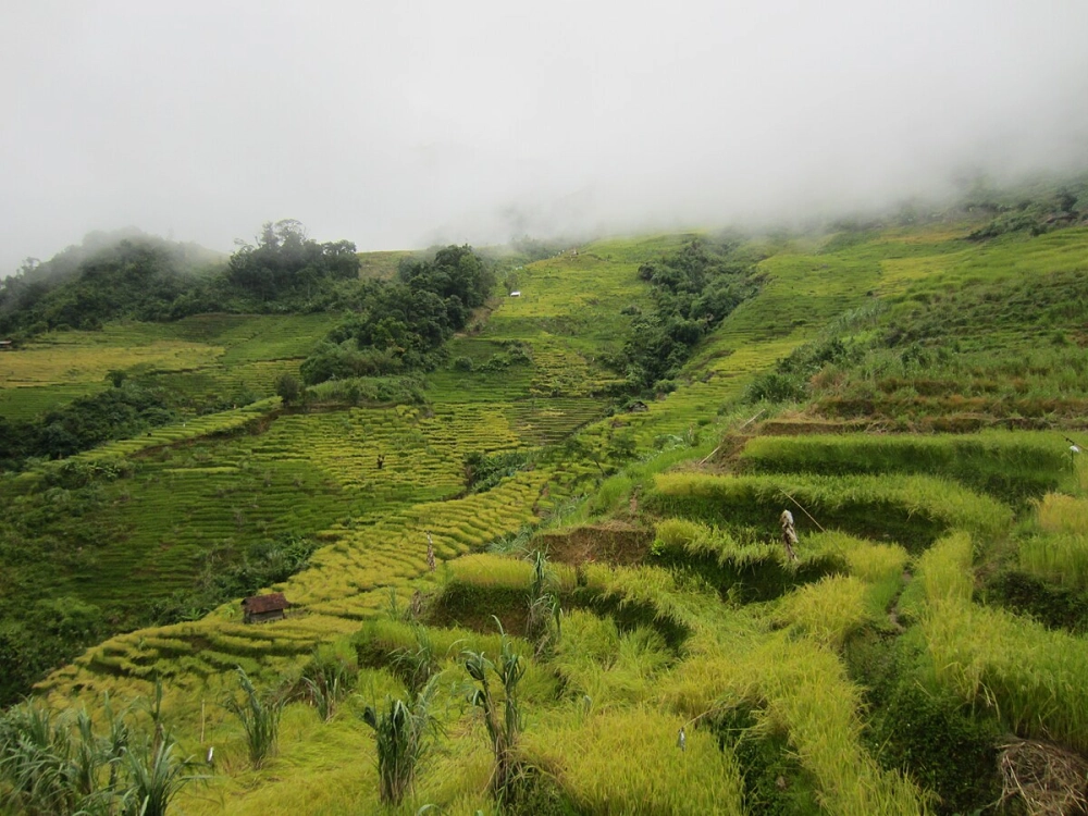 Khám phá núi ngọc linh nằm ở đâu qua những chuyến trekking đầy thú vị