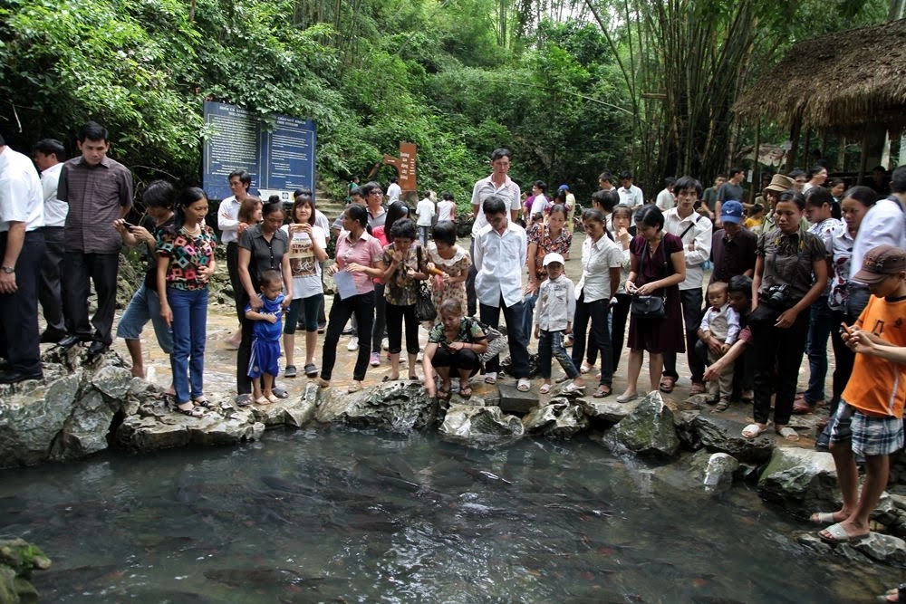 Khám phá suối cá thần cẩm lương cẩm thủy huyền thoại