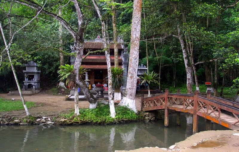 Khám phá suối cá thần cẩm lương thanh hóa có gì hay