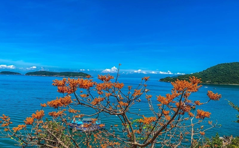 Khám phá tour đi cù lao chàm tuyệt vời đầy hấp dẫn