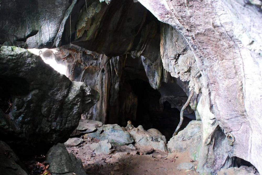 Khám phá tour vườn quốc gia cúc phương đáng thử