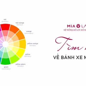 Khám phá vòng tròn màu sắc: Bí quyết phối đồ thời trang ấn tượng