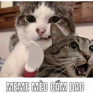 Khám phámeme cầm dao: Biểu cảm hài hước và những tình huống bất ngờ