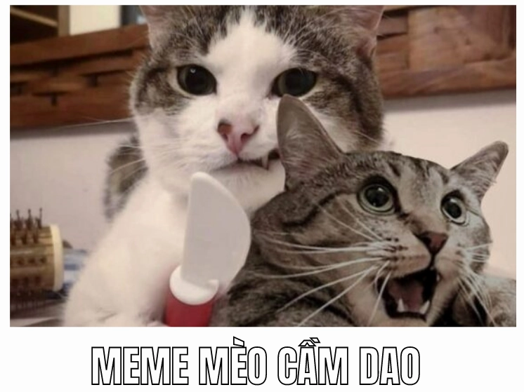 Khám phámeme cầm dao: Biểu cảm hài hước và những tình huống bất ngờ