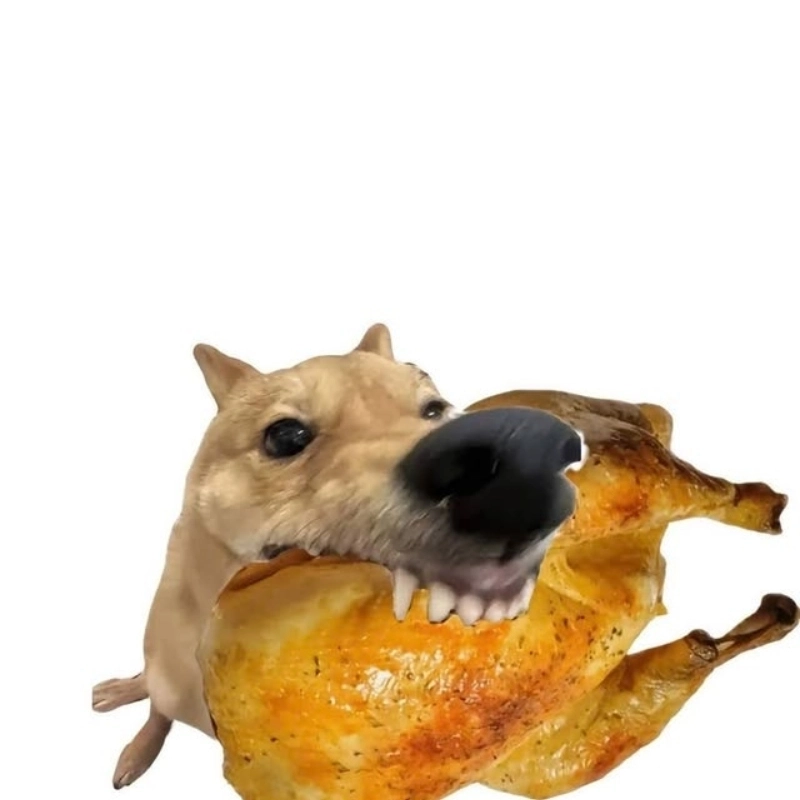 Khi niềm đam mê ăn uống được thể hiện qua meme chó gặm thịt