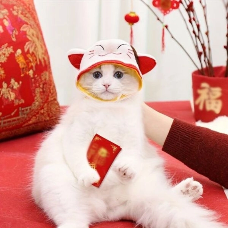 Một cái gật đầu đáng yêu từ meme mèo cute ok dễ thương vô đối