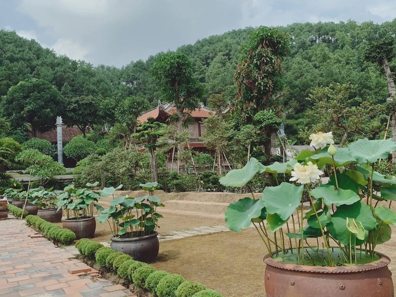 Không gian thiền tĩnh tại địa tự phi lai tạng