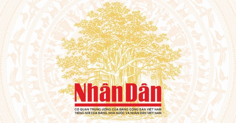Khu Di Tích Khảo Cổ Cù Lao Rùa Di Sản 3000 Năm Tuổi