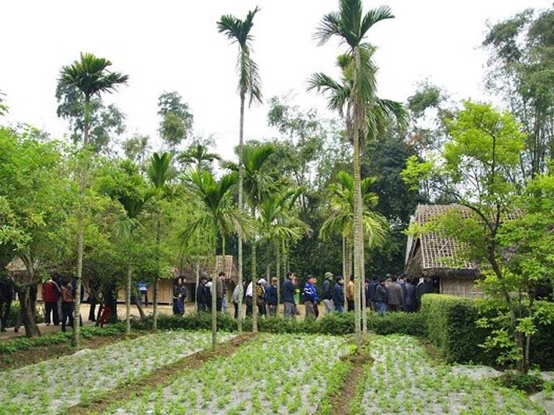 Du lịch khu di tích Kim Liên phù hợp cho mọi lứa tuổi.