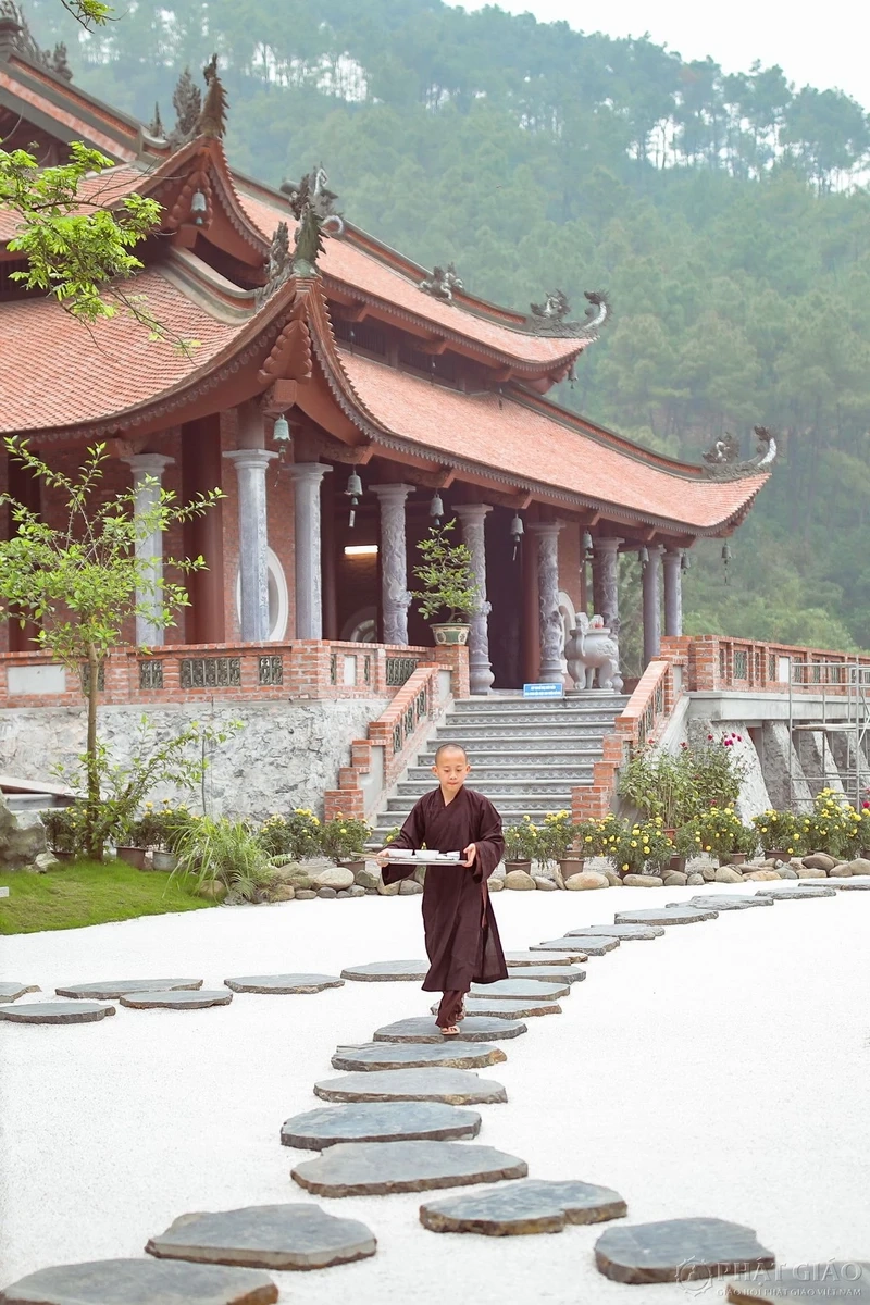Lặng nhìn thời gian qua phi lai cổ tự trầm mặc