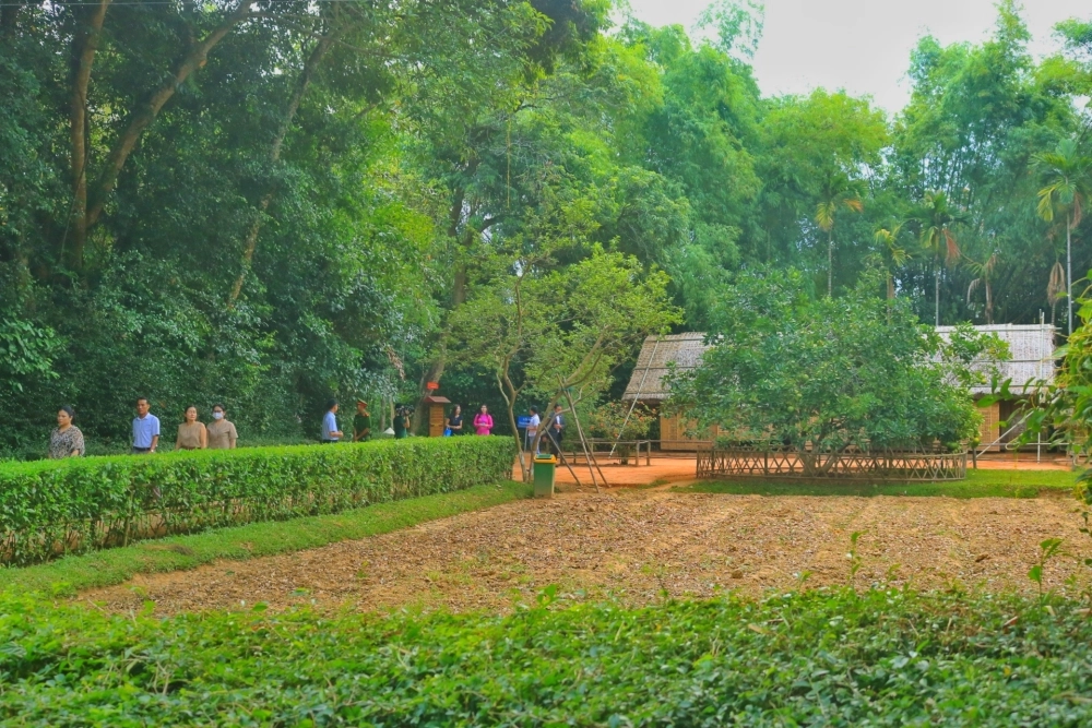 Làng sen quê bác quê hương chủ tịch hồ chí minh