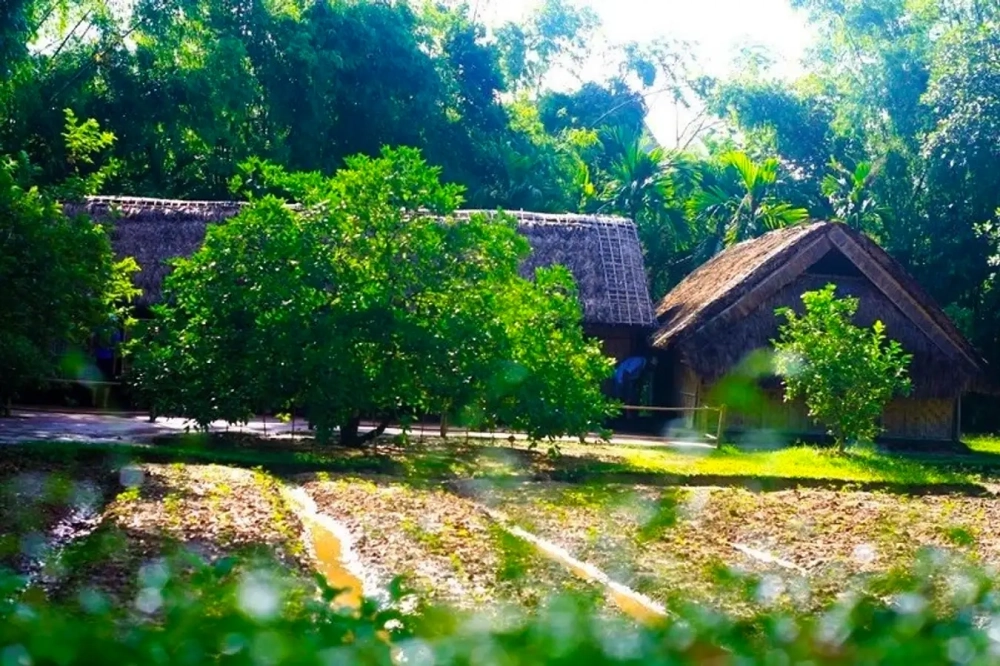 Làng sen việt nam quê bác thiêng liêng