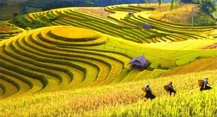 Lên kế hoạch lịch trình đi mù cang chải phù hợp