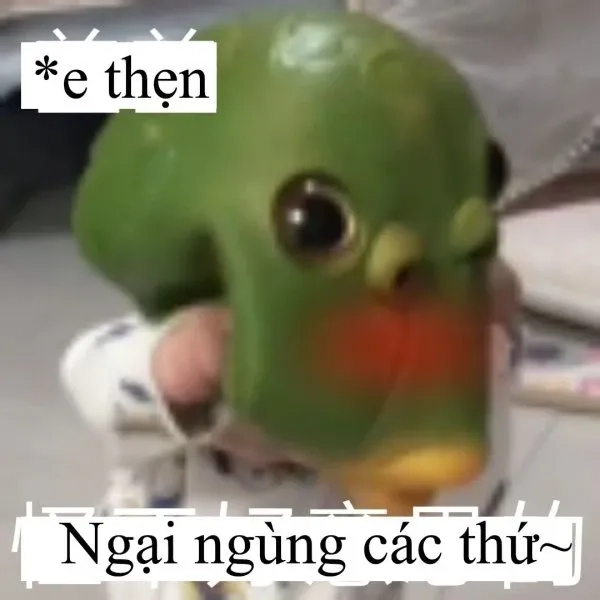Loopy meme ngại thể hiện sự lúng túng dễ thương