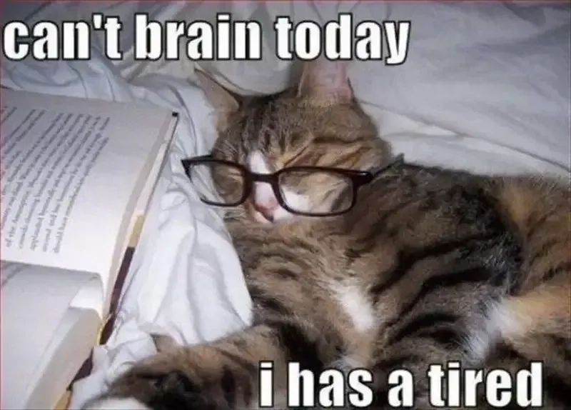 Lưu ngay bộ ảnh meme mệt mỏi để dùng mỗi khi muốn than thở