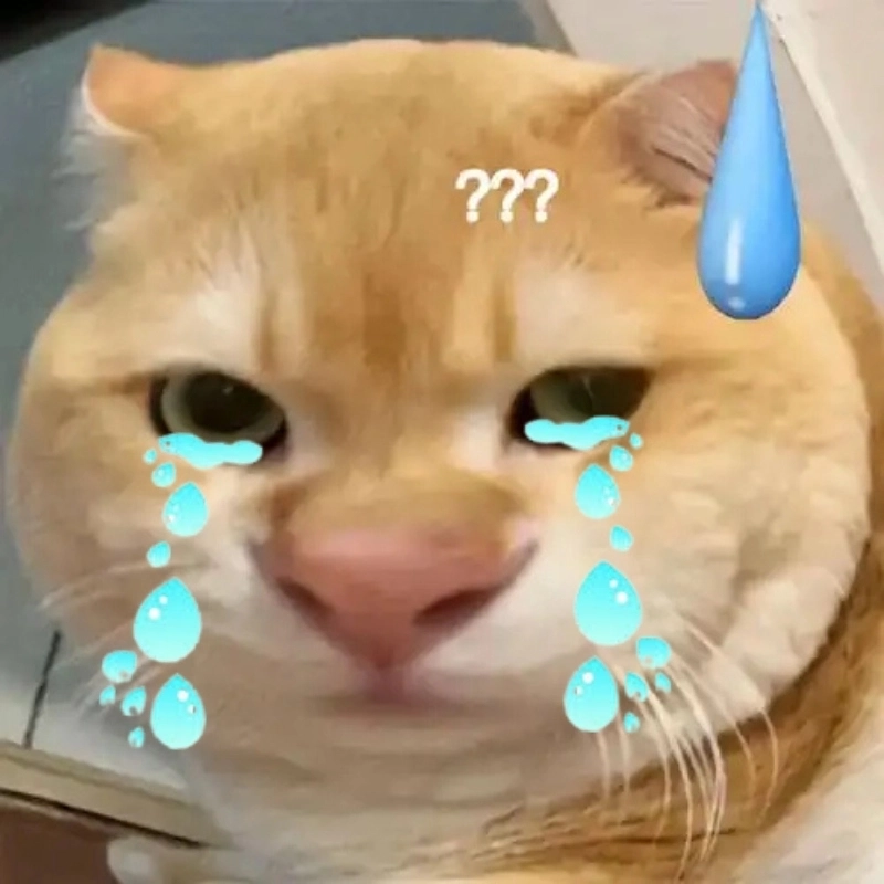 Khóc meme mèo xin lỗi khiến ai cũng muốn tha thứ ngay