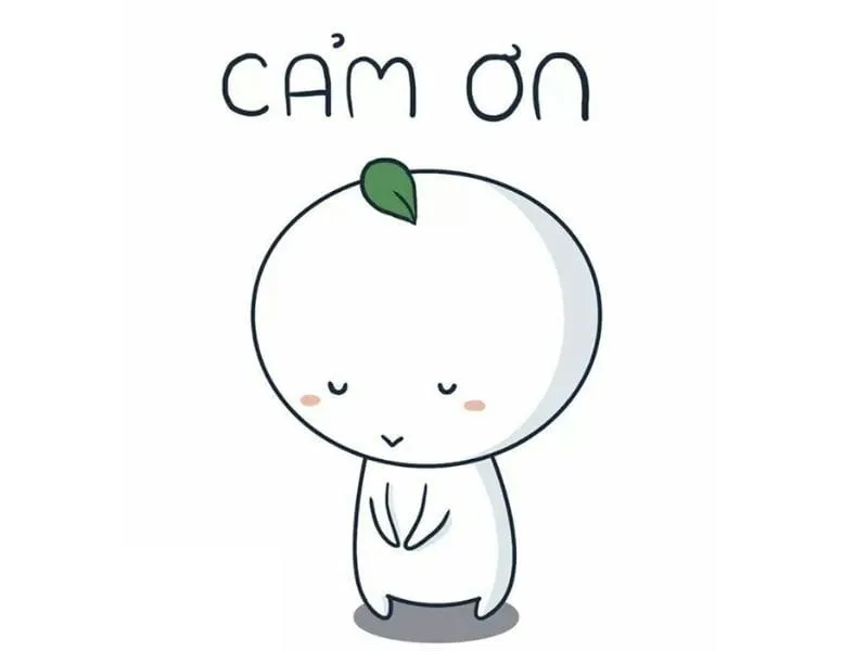 Meme cảm ơn hài hước khiến ai cũng cười rồi mới cảm động