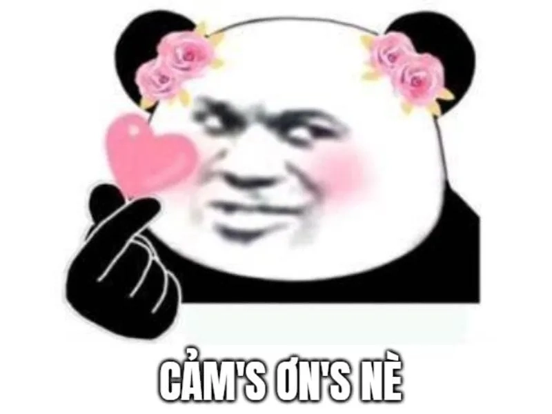 Meme cảm.ơn siêu ngắn gọn cho mọi tình huống lịch sự
