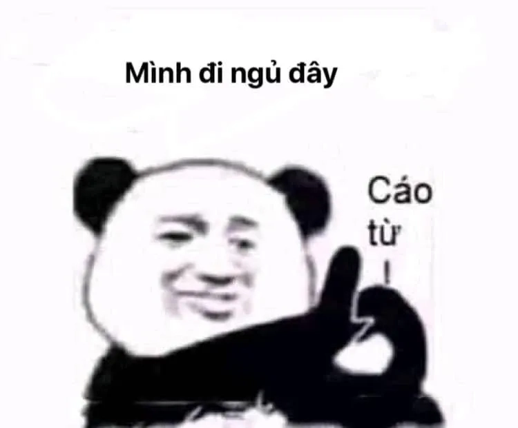 Meme chúc ngủ ngon ngộ nghĩnh để gửi đến bạn bè