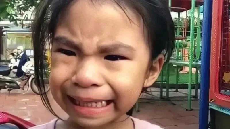 Meme cười bất lực sẽ làm bạn không thể nhịn cười vì tình huống cực kỳ đáng yêu!