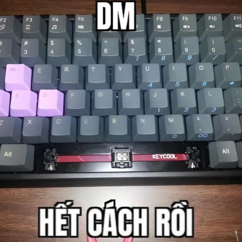 Meme đưa hết tiền đây yêu cầu trả nợ hài hước