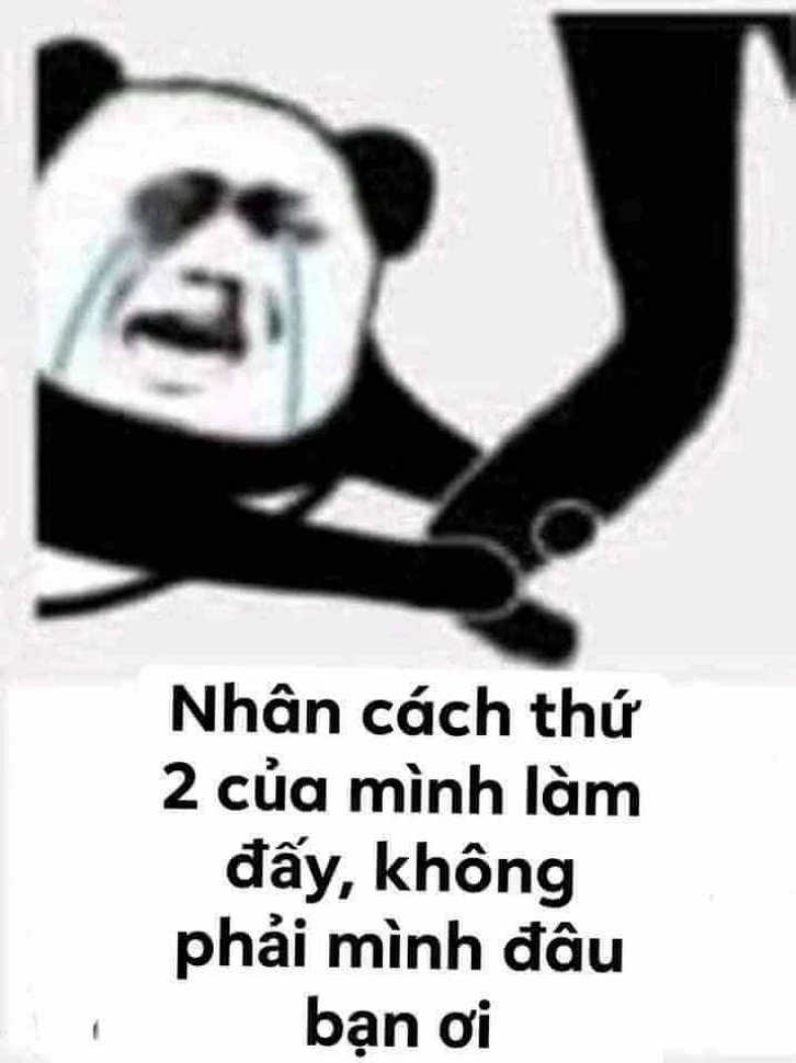 Meme gấu trúc mệt mỏi giúp bạn cảm thấy dễ chịu hơn