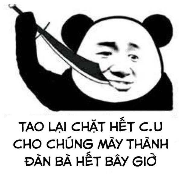 Meme gấu trúc ngạc nhiên làm bạn không thể nhịn cười