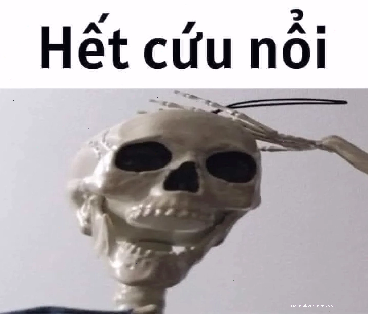 Meme không ai cứu được em đâu cười đau bụng luôn