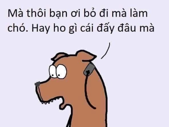 Meme không ngờ phản ứng tự nhiên khi vỡ lẽ sự thật