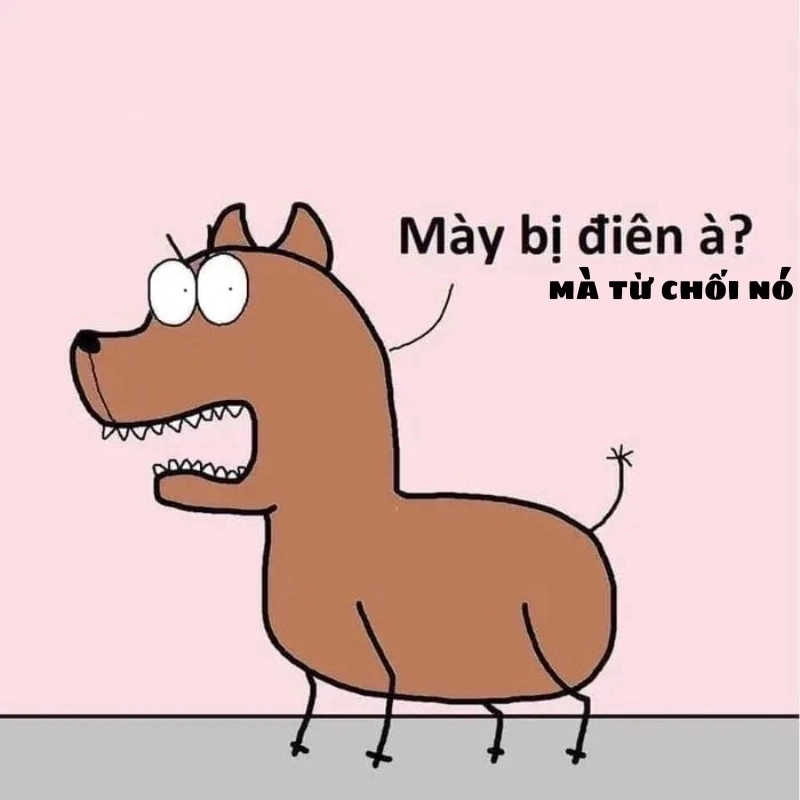 Meme không từ chối hài hước, biểu cảm đồng ý bất ngờ