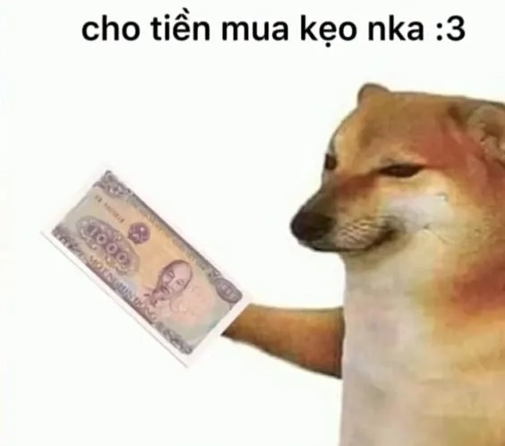 Meme mèo cầm tiền siêu dễ thương khiến dân tình thích mê