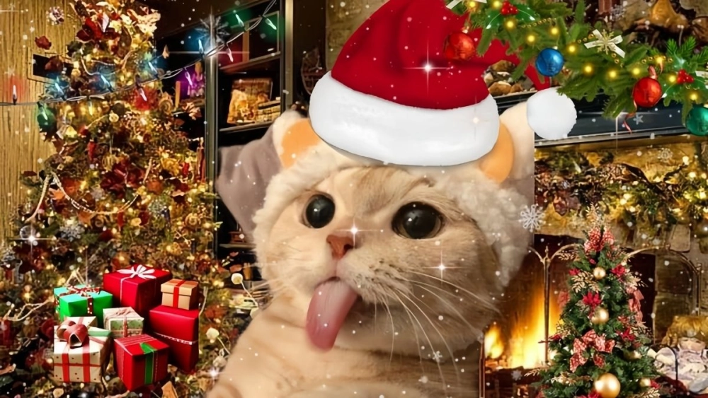 Meme mèo Noel cute nhìn là muốn lưu về ngay lập tức