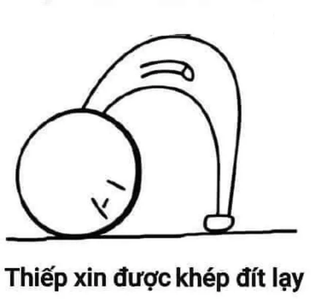 Meme quỳ sát đất là cách thể hiện sự kính trọng sâu sắc và lòng biết ơn cực kỳ chân thành